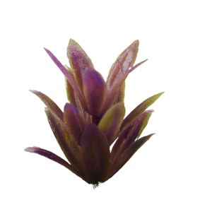 Flores y plantas de modelo Jiz, <span class=keywords><strong>agave</strong></span>, materiales de simulación de 2.0 cm para mesas de arena, para interiores y exteriores. - Product Image 4