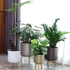 <span class=keywords><strong>Maceta</strong></span> de Metal de pie <span class=keywords><strong>con</strong></span> tres <span class=keywords><strong>patas</strong></span> de <span class=keywords><strong>madera</strong></span>, decoración para el hogar y el jardín, venta al por mayor - Product Image 1