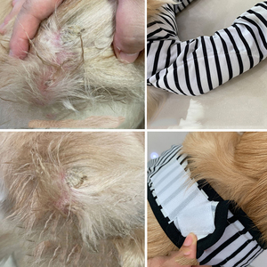 Ropa para mascotas, ropa de protección para el codo de pelo dorado, antidesgaste, vendaje para heridas de perros grandes, cinturón auxiliar - Product Image 2