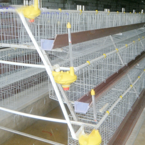 Attrezzatura per gabbia a batteria a strato di pollo per uccelli che depongono uova gabbie per animali di pollame - Product Image 4