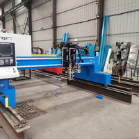 Máquina de Corte por Plasma CNC de Pórtico Portátil con Servomotor, Cortadora de Metal de Alta Productividad, Área de Trabajo de 3000x12000 mm