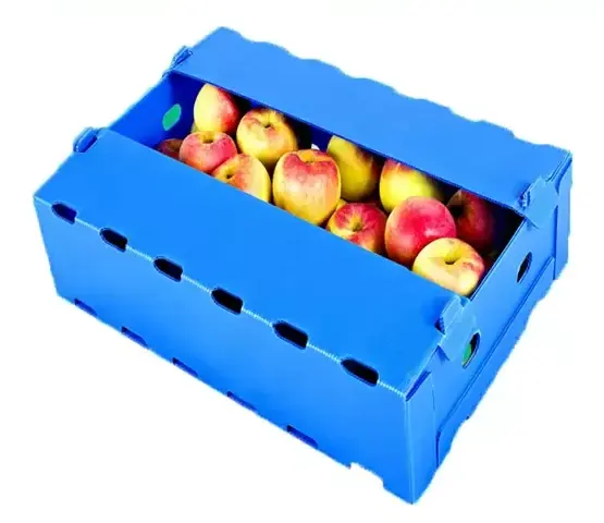 2024 प्लास्टिक बॉक्स खाद्य ग्रेड अनुकूलित नालीदार प्लास्टिक पैकिंग बॉक्स फल नालीदार प्लास्टिक पैकेजिंग बॉक्स