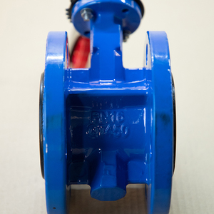 Fabricant OEM en gros de raccords manuels en fonte ductile conformes aux normes ANSI/DIN/JIS - Product Image 3