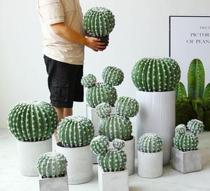 Plante Artificielle <span class=keywords><strong>D</strong></span>écorative en Plastique, Étiquette Personnalisée, Petits Clôtures, Treillis, Portails, <span class=keywords><strong>Cactus</strong></span> Artificiels - Product Image 1