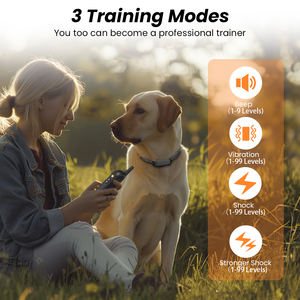 A mazon Hot Seller <span class=keywords><strong>Dog</strong></span> Collares de entrenamiento electrónico Estilo de moda Material plástico para <span class=keywords><strong>Walmart</strong></span> - Product Image 6