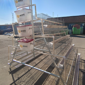 Jaulas económicas para gallinas ponedoras de 10000 aves, gallineros para huevos de <span class=keywords><strong>pollo</strong></span>, jaulas de batería para animales de granja avícola en venta en Sudáfrica - Product Image 2