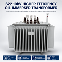 Transformador de Distribución Trifásico S22 de 10kV, Alta Eficiencia y Baja Pérdida, Sumergido en Aceite