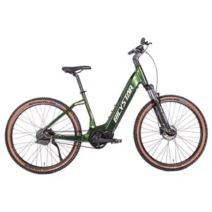 Goedkope Factory Prijs Womens 500W Groothandel Fietsen Vintage Elektrische Vet Fiets Voor 100% Veiligheid