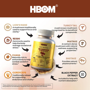 Oem 20-in-1 nấm <span class=keywords><strong>Mushroom</strong></span> <span class=keywords><strong>extract</strong></span> viên nang 500mg/chai sư tử của bờm Reishi Chaga Thổ Nhĩ Kỳ đuôi <span class=keywords><strong>maitake</strong></span>-enzyme sản phẩm - Product Image 5