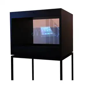 22 "Holo Box/3D Hologramm Box/Hologramm Schaufenster