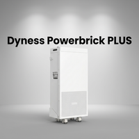 Batterie au lithium Dyness Powerbrick PLUS LV 51.2V 314AH/16kWh à montage mural ou sur pied avec écran intégré pour vérification rapide