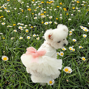 Factory Wholesale Luxury Cute Pet Wedding Dress Skirt Solid Polyester Eco-Friendly Spring Summer Thin <b>Dog</b> Outfit Halloween - Product Image 2