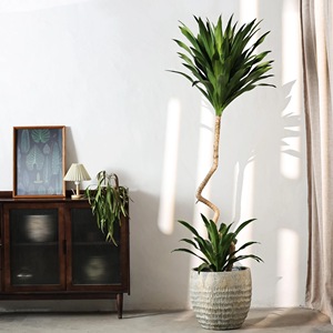 Pot de fleurs rond en <span class=keywords><strong>fibre</strong></span> d'argile, décoration intérieure et extérieure unique, fait à la main, en relief, grand format - Product Image 4