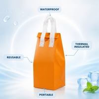Sac isotherme non tissé personnalisé à prix avantageux, grande capacité, imperméable, écologique, jetable pour plats à emporter