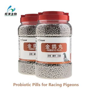 Comprimés probiotiques pour pigeons de course, complément de calcium, de phosphore et de probiotiques - Product Image 1