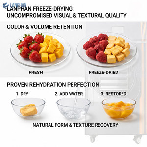 Deshidratador de Alimentos Automático de 5 Bandejas, Capacidad de 4-6 kg, para Uso Doméstico y Comercial Pequeño, Ahorro de Energía, Deshidratación de Frutas y Verduras - Product Image 3