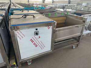 Máquina de lavado y pelado de rodillos de cepillo Industrial comercial de 500 kg/h - Product Image 2