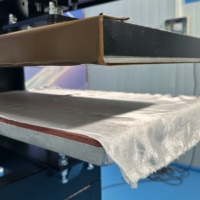 Machine hydraulique à double station de marquage à chaud en vrac pour le cuir, le tissu, le papier, le gaufrage de logo