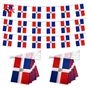 Set Regalo di Bandiere della Repubblica Dominicana 2026, Souvenir Patriottici Premium e Durevoli per Eventi Nazionali - Product Image 2