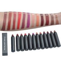 Marque privée Maquillage cosmétique mat imperméable longue durée Rouge à lèvres rose Crayon à lèvres crayon Rouge à lèvres