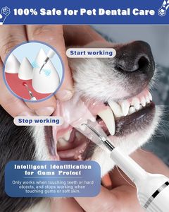 Teeth Cleaner Kit Machine Dental Electric at Home <b>Plaque</b> Removal Sonic <b>Plaque</b> Dog <b>Ultrasonic</b> Calculus <b>Remover</b> Tooth Cleaner - Product Image 2