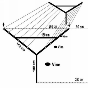 <span class=keywords><strong>Open</strong></span> Gevel Wijngaard Druivenpaal Metaal Wijngaard Y/T <span class=keywords><strong>Trellis</strong></span> Post Driehoek Vorm Druivenpost Duurzaam - Product Image 3