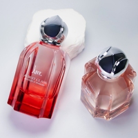 Certification de qualité, flacon de parfum en verre unique, anti-fuite, 100 ml, emballage de luxe personnalisé pour flacon de parfum, impression à l'écran