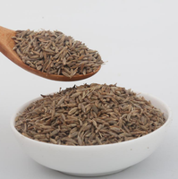 Graines de Cumin Séchées en Vrac de Haute Qualité à Prix Raisonnable