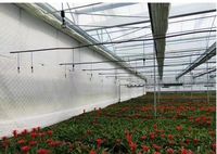 Invernadero de Túnel Grande Multiusos con Cubierta de Película para Turismo Agrícola y Jardín de Recolección