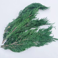Kerstdecoratiemateriaal: Echte, natuurlijke, geconserveerde cipressen en natuurlijke dennen voor bruiloft- en huisdecoratie