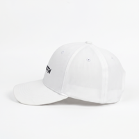Casquettes de baseball unisexes légères et sportives personnalisables en toile, style streetwear, avec logo monochrome, vente en gros