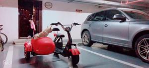 Motocyclette à side-car à 3 roues électrique <span class=keywords><strong>pliable</strong></span> avec side-car de transport, scooter <span class=keywords><strong>tricycle</strong></span>, kit side-car pour chiens et enfants - Product Image 4