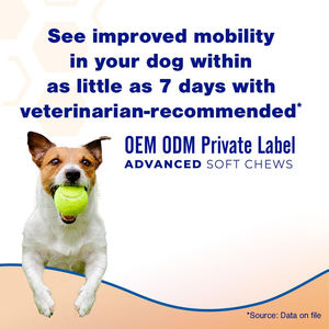 פרמיה כלבים בריאות תוספי מזון משותף כלב טבעי תוספת גלוקוזאמין <span class=keywords><strong>msm</strong></span> עבור תמיכה מפרק הירך תמיכה ניידות טיפול לחיות מחמד - Product Image 3