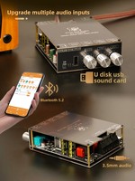 Versión Mejorada XY-T2002P, Placa Amplificadora Digital Bluetooth de 200W2, Controles de Graves y Agudos, Chip TPA3223 Superior al 7498E
