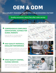 Nhà máy bán 1 kg ABC Bình chữa cháy xe sử dụng 1 kg Bột khô bình chữa cháy - Product Image 6