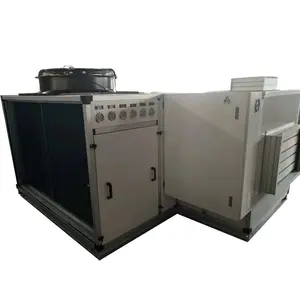Paquet intérieur ahu climatiseur expansion directe Air manipulant des unités pompe à chaleur