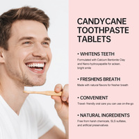 Fabricant de dentifrice en comprimés OEM ODM, saveur menthe, dentifrice solide, comprimés de voyage, soins bucco-dentaires, marque privée