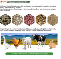 Máquina de Pellets para Alimento Animal Certificada por SGS, Pelletizadora de Alta Eficiencia para Exportación, Calidad para Granjas Avícolas