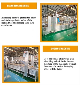 Linea di Produzione Automatica di <span class=keywords><strong>Patatine</strong></span> <span class=keywords><strong>Fritte</strong></span> Congelate DY con <span class=keywords><strong>Disegni</strong></span> Forniti, Capacità 200-3000kg/h - Product Image 4