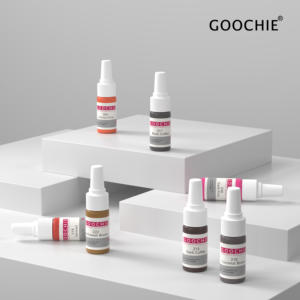 Pigment Organique Hybride GOOCHIE Global pour Maquillage Permanent – Encres de Tatouage Cosmétique PMU, Fournitures de Micropigmentation - Product Image 2