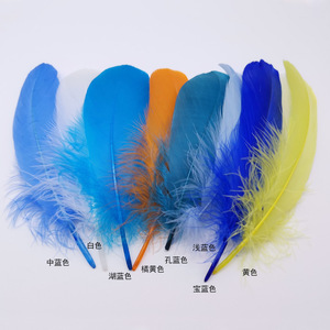 Plumes Naturelles, Plumes d'Oie Teintées, Grandes Plumes Rigides pour la Décoration Intérieure, Accessoires - Product Image 2