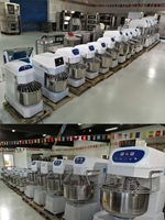 Machine à pétrir de haute technologie 10 kg 20 25 50, mélangeur à pâte commercial pour pain italien