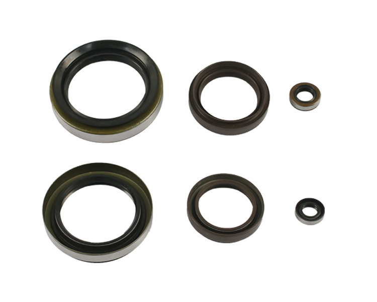 Transmission O/H Kits 04321-N3010-71 for FDZN30 - Quality Rebuild