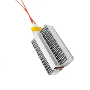 High Quality 24v 48v Air Heater Resistor bread maker heating element Ptc Ceramic Constant Temperature Heating Element