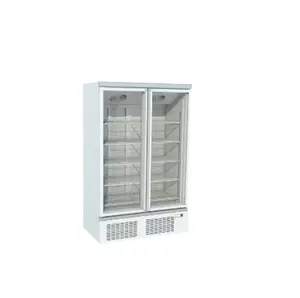 Glass Door Ice Cream Supermarket Display Commercial Cabinet Fridge Freezer For Frozen Food