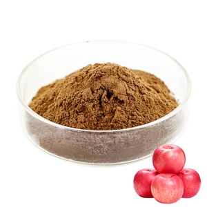 Polyphenol ekstrak <span class=keywords><strong>Apple</strong></span> 40%-80% alami murni kualitas tinggi - Product Image 3