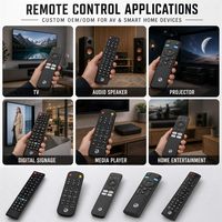 Télécommande universelle tout-en-un 42 touches RCT042 IR RF 2.4G à code fixe, commande vocale, portée 10m, en plastique pour décodeur TV et audio