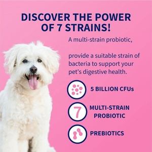 60 tabletas masticables múltiples cepas bacterias suplemento diario de salud digestiva prebióticos <span class=keywords><strong>probióticos</strong></span> <span class=keywords><strong>para</strong></span> <span class=keywords><strong>perros</strong></span> en polvo - Product Image 2
