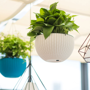 Yizhitang wall hanging flowerpot automatic self watering system succulent plastic flower pot