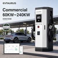 Station de recharge rapide pour véhicules électriques (VE) DC, 60 kW à 240 kW, IP54, compatible OCPP, avec CCS2, Chademo, RFID, application mobile, pour extérieur